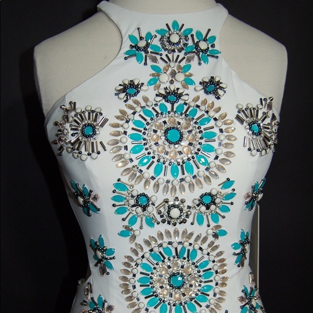 NWT! Rachel Allan Prom Dress! - Picture 3 of 3